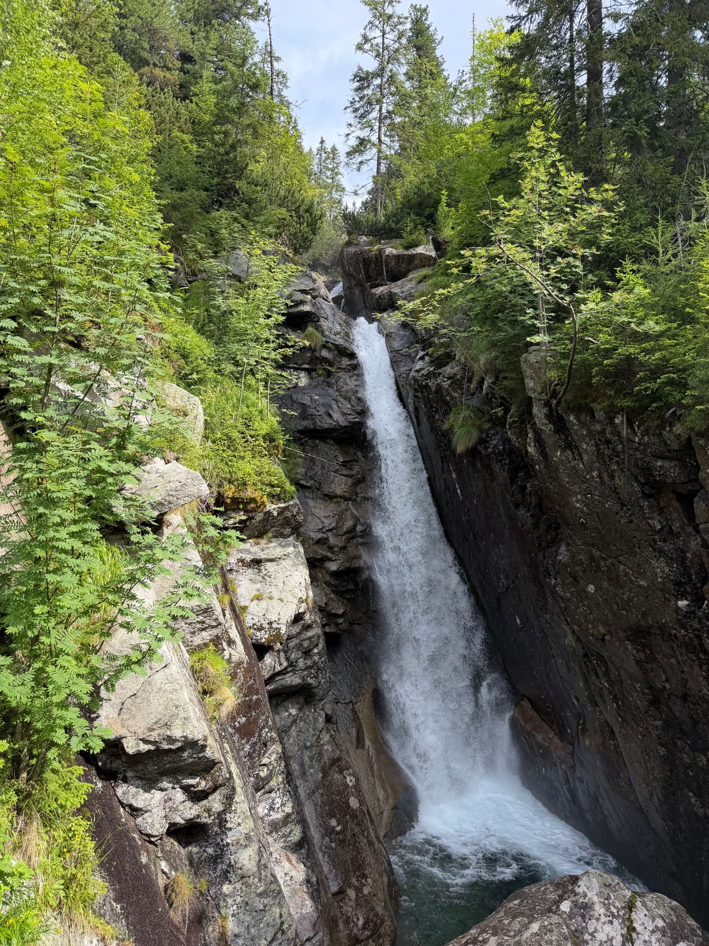 Cascade du Ray-Pic dans un cadre boisé et verdoyant