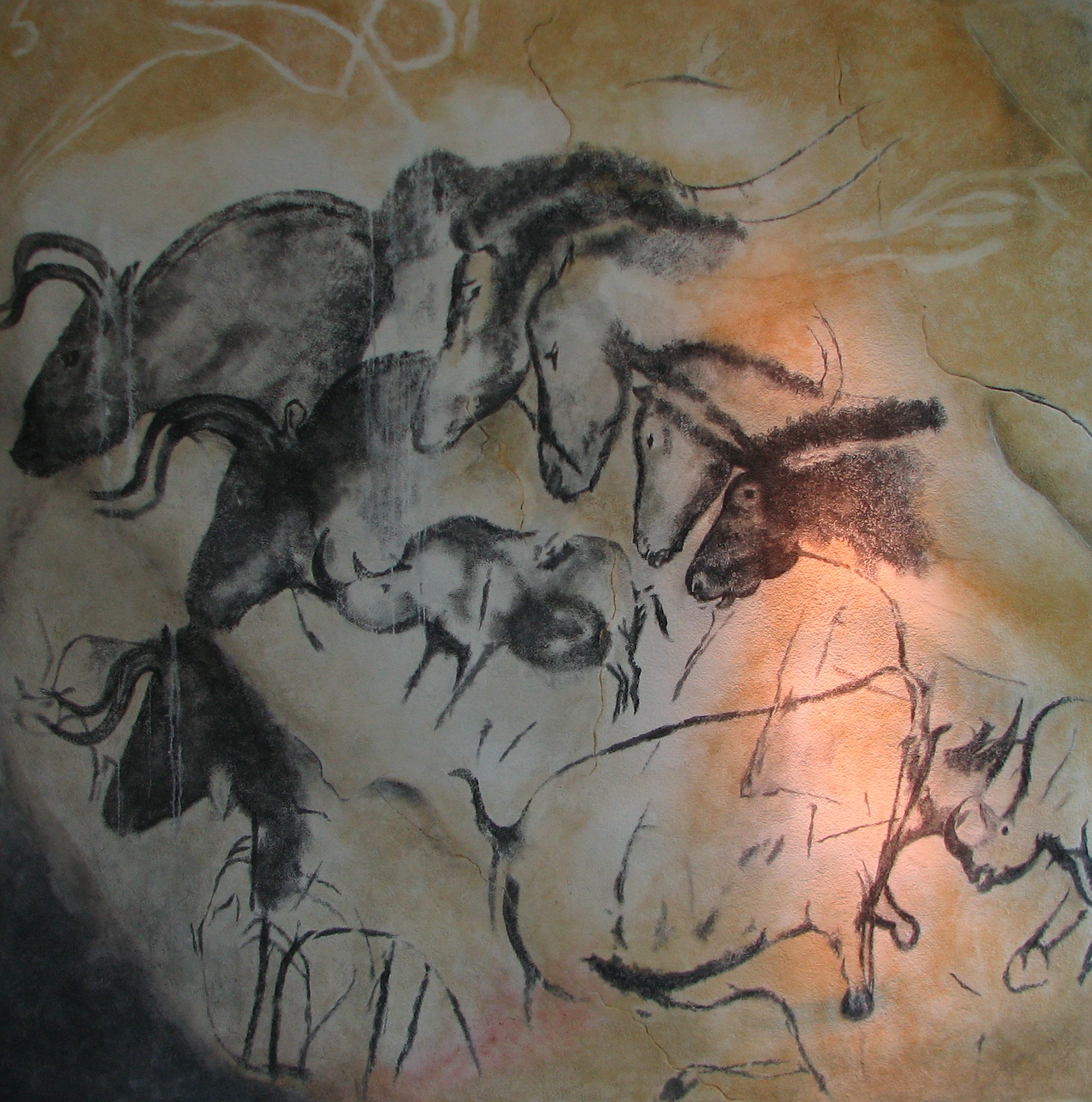 Reproduction muséographique de plusieurs motifs animaliers de la grotte Chauvet