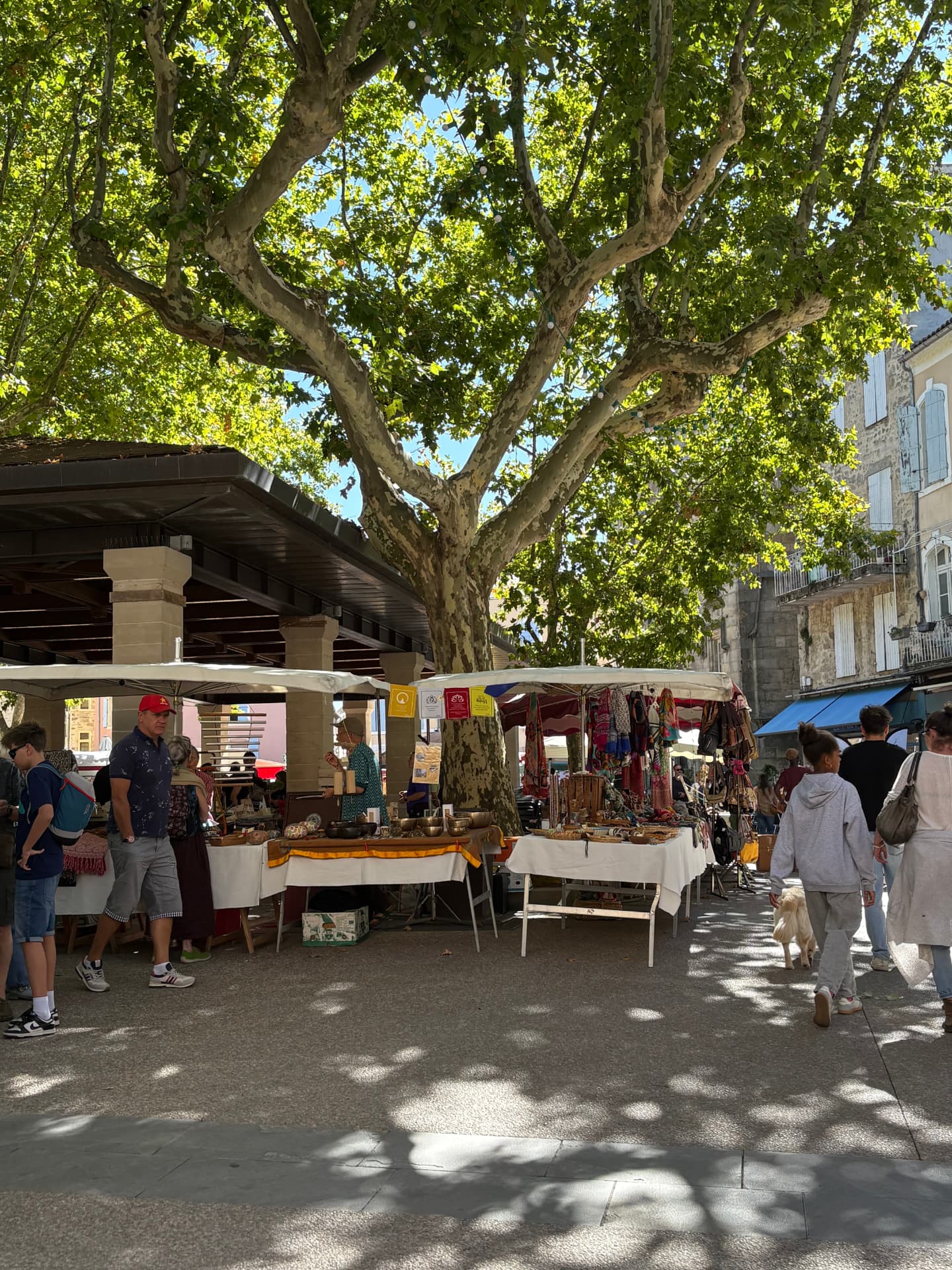 Stands d'artisanat sous un grand platane et une halle, promeneurs à l'ombre