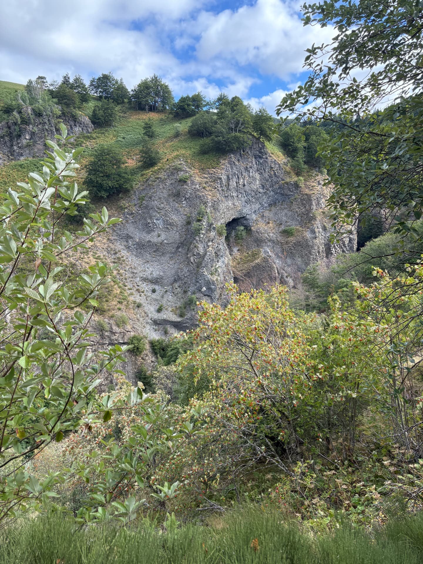 Parois de basalte du site de la cascade du Ray-Pic