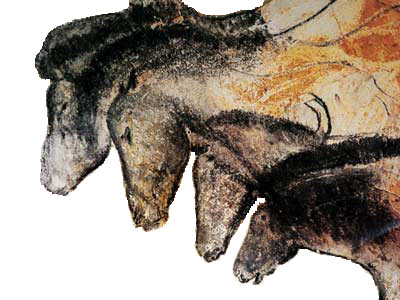 Panneau de chevaux dessiné dans la grotte Chauvet