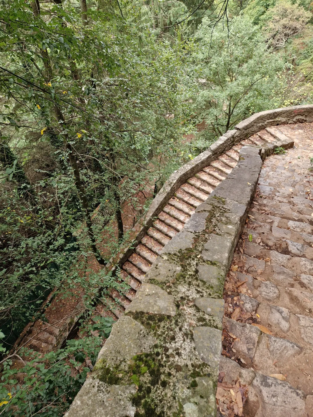 Long escalier de pierre en courbe, bordé d’un muret moussu, descendant à travers la forêt