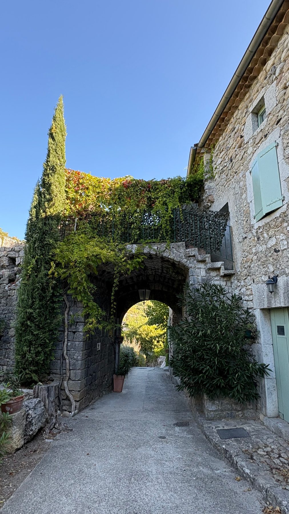 Passage voûté végétalisé du vieux village, vigne vierge retombant sur l'arche de pierre et cyprès élancé