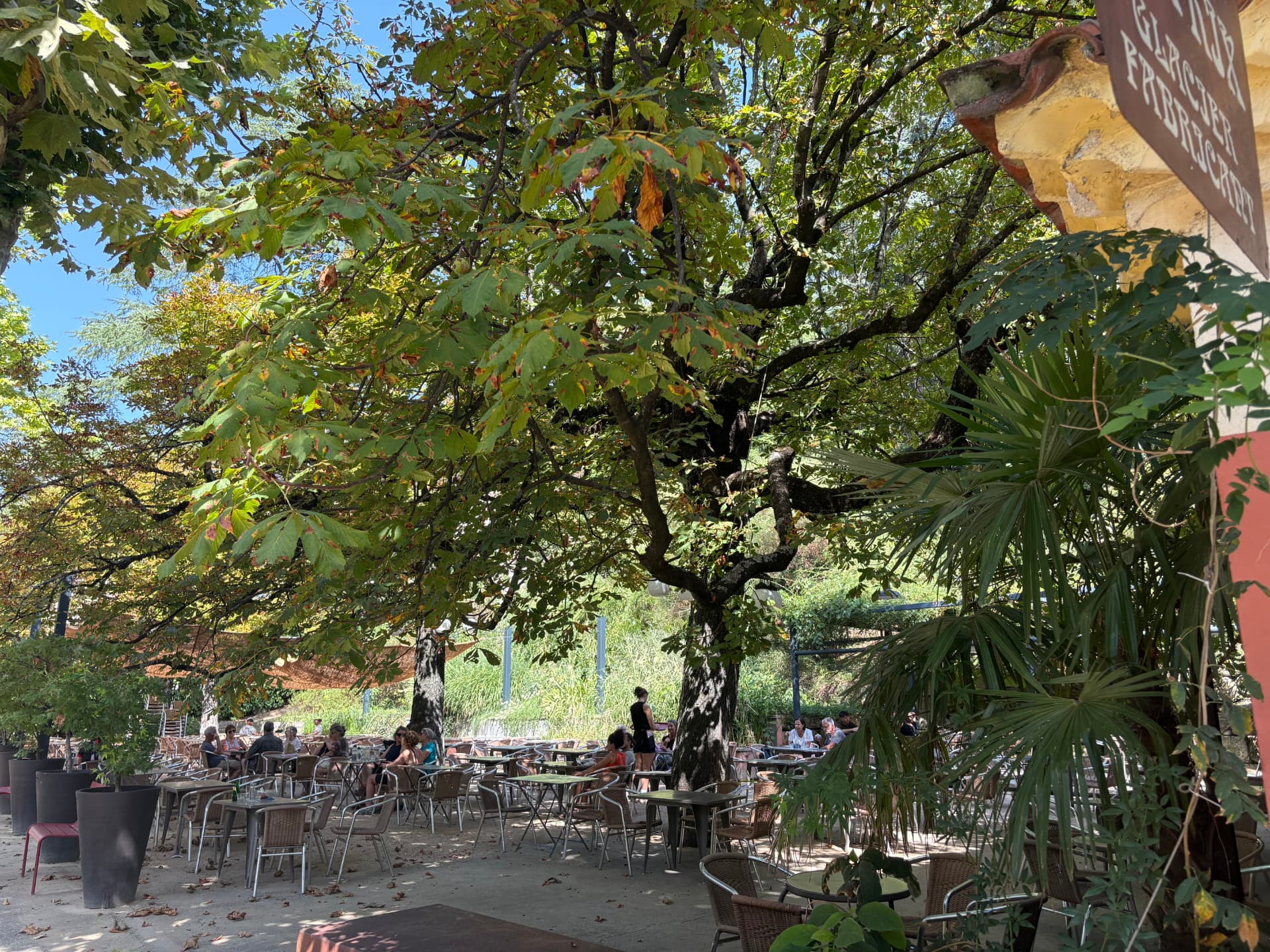 Terrasse ombragée du glacier Béatrix à Vals-les-Bains