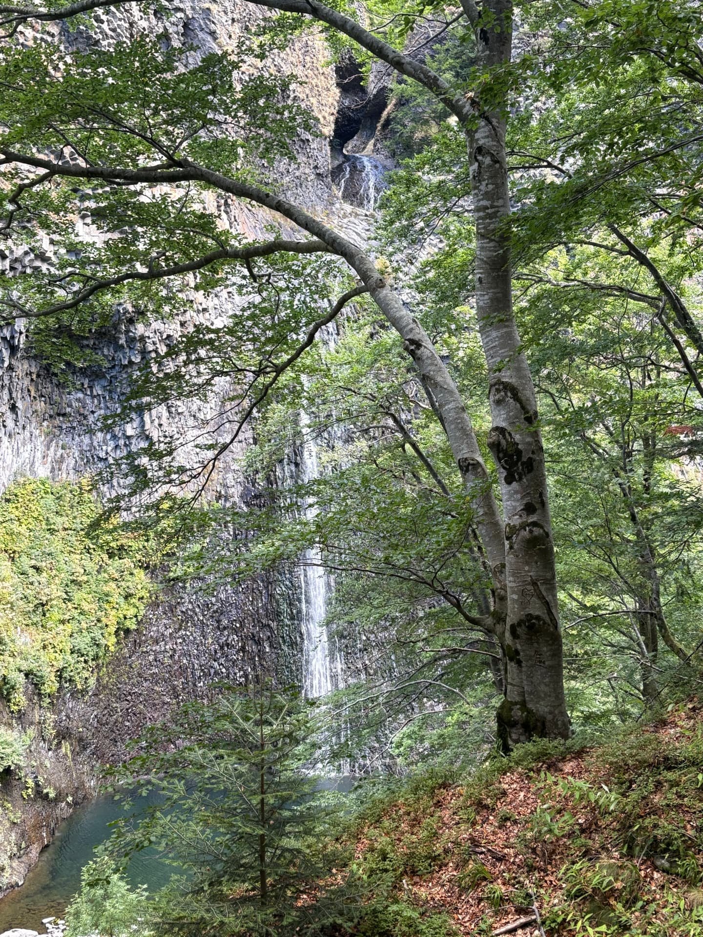 Sentier forestier menant aux belvédères de la cascade du Ray-Pic