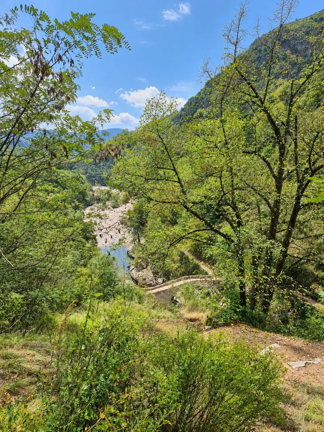 Vue dégagée sur une vallée boisée depuis le sentier