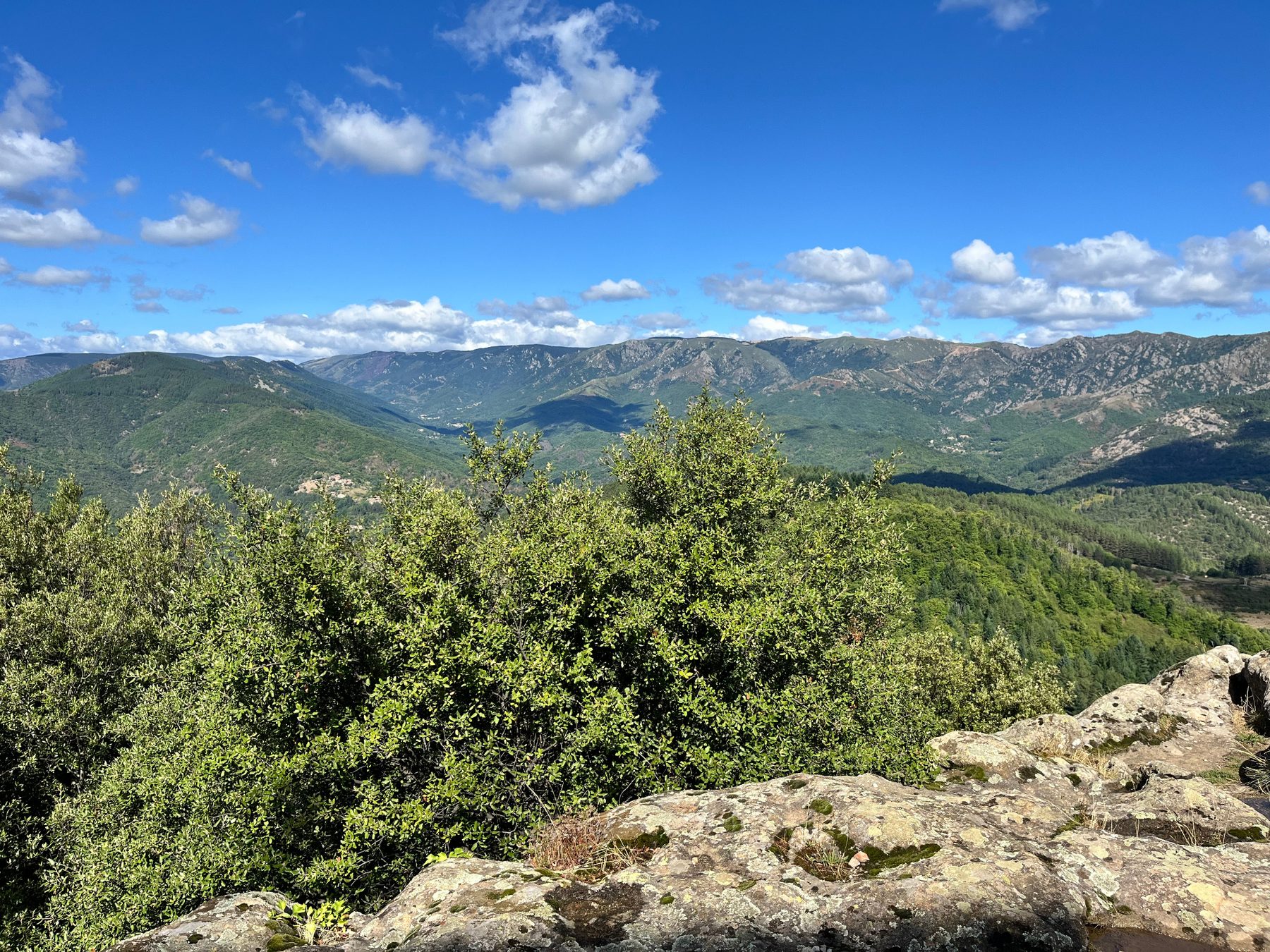 Végétation et rochers au premier plan, lignes de reliefs à l'horizon depuis le belvédère