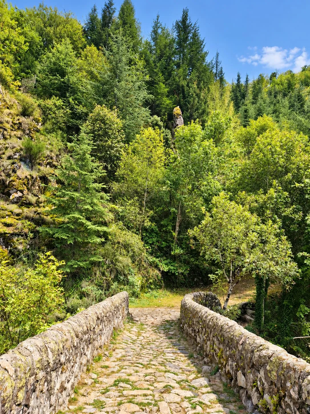 Pont pavé à parapets de pierre menant vers une forêt de conifères