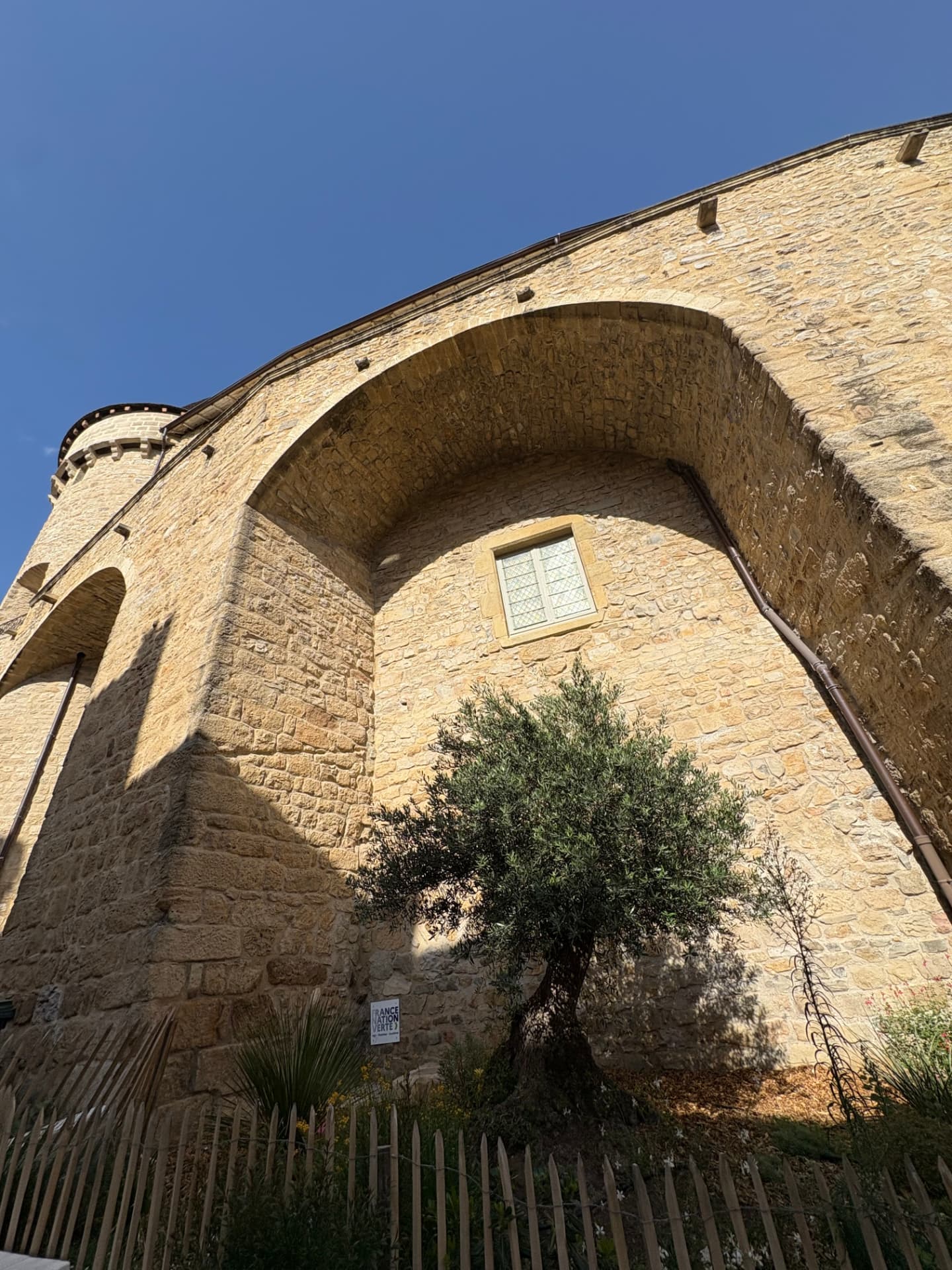 Arche en pierre et olivier au Château d’Aubenas