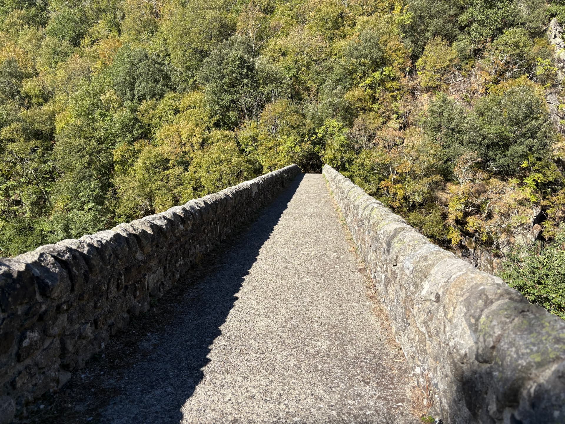 Passage sur le pont de pierre de Jaujac au-dessus de la végétation