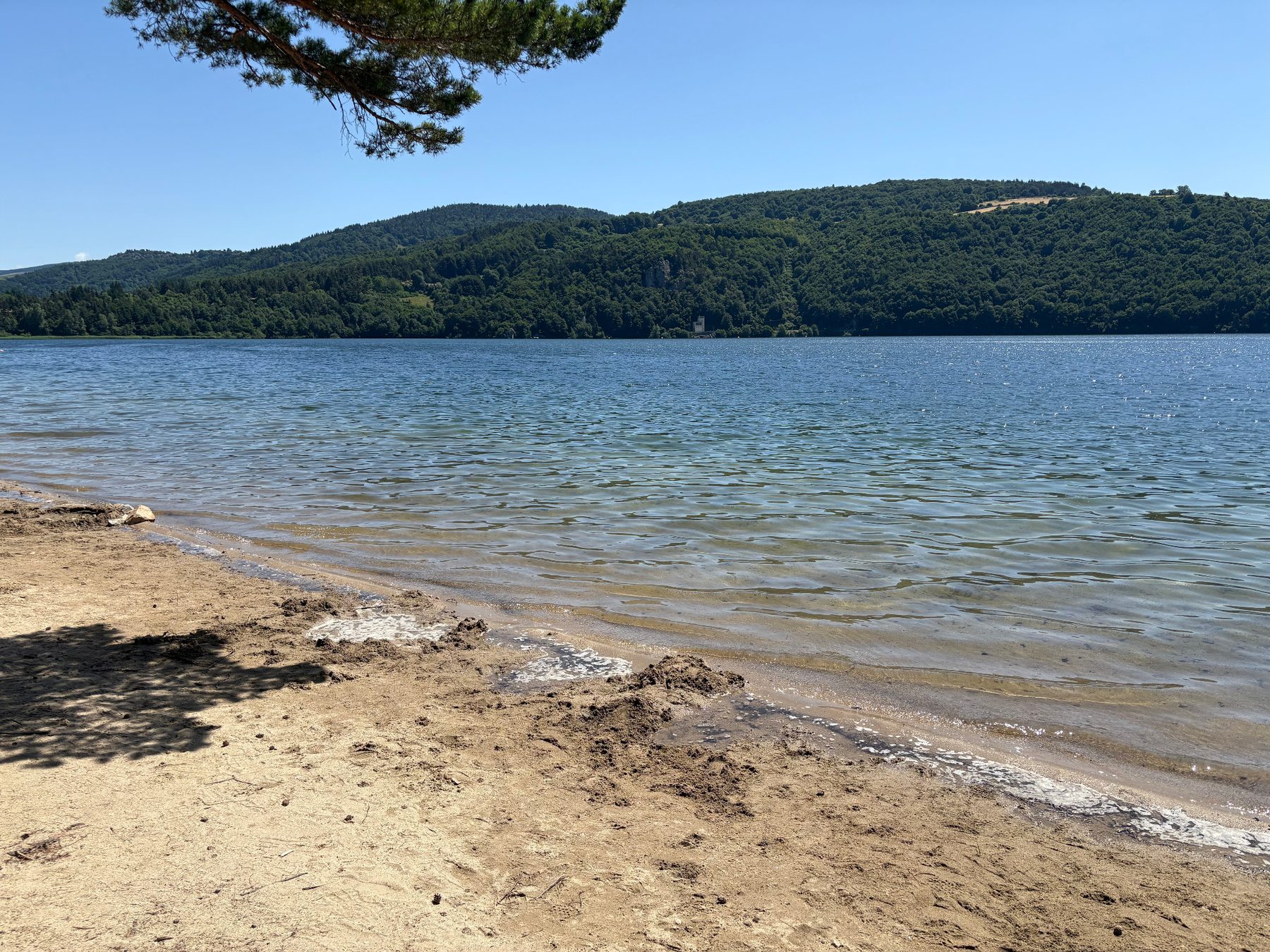 Rive sablonneuse du lac d’Issarlès sous une branche de pin, face aux collines boisées de l’autre rive