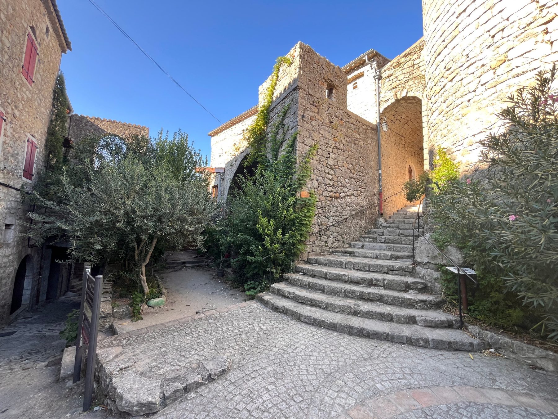 Escalier de pierre montant vers un passage voûté, maisons anciennes et oliviers dans le bourg de Balazuc
