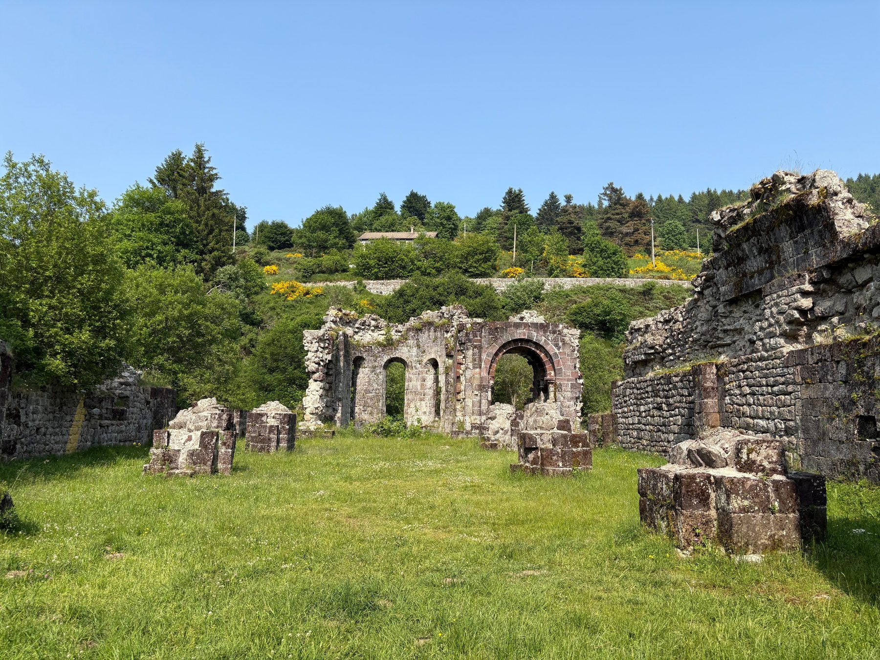Vue générale des ruines de l'abbaye : piliers tronqués dans l'herbe, arcades et grand arc en pierre, colline boisée et genêts en fleurs