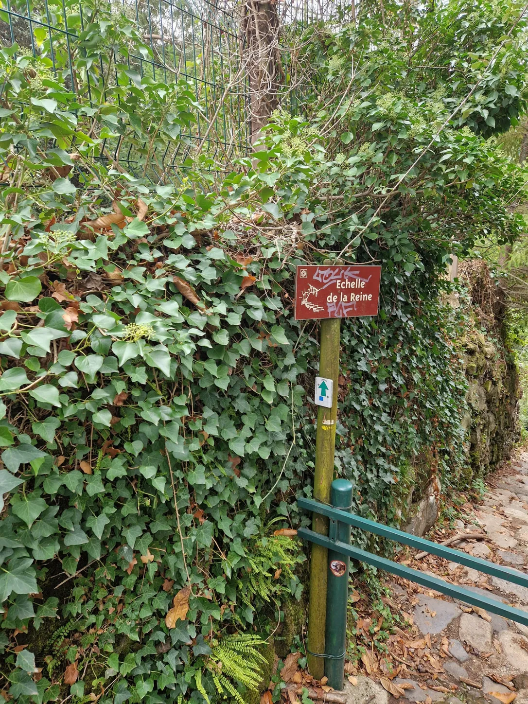 Panneau marron « Échelle de la Reine » sur un poteau, devant un mur couvert de lierre et une rampe verte