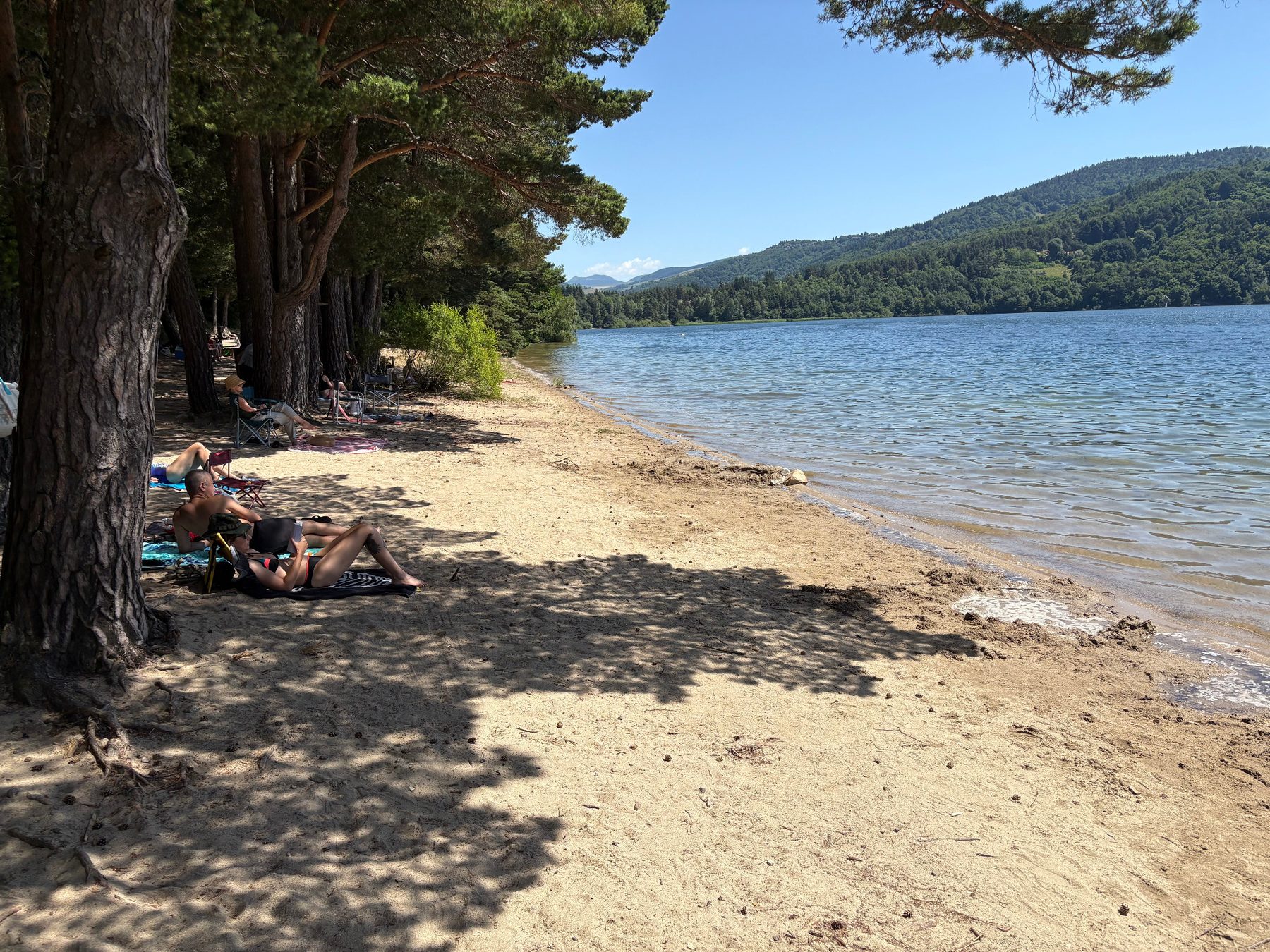 Plage ombragée sous les grands pins au bord du lac d’Issarlès, promeneurs allongés sur le sable