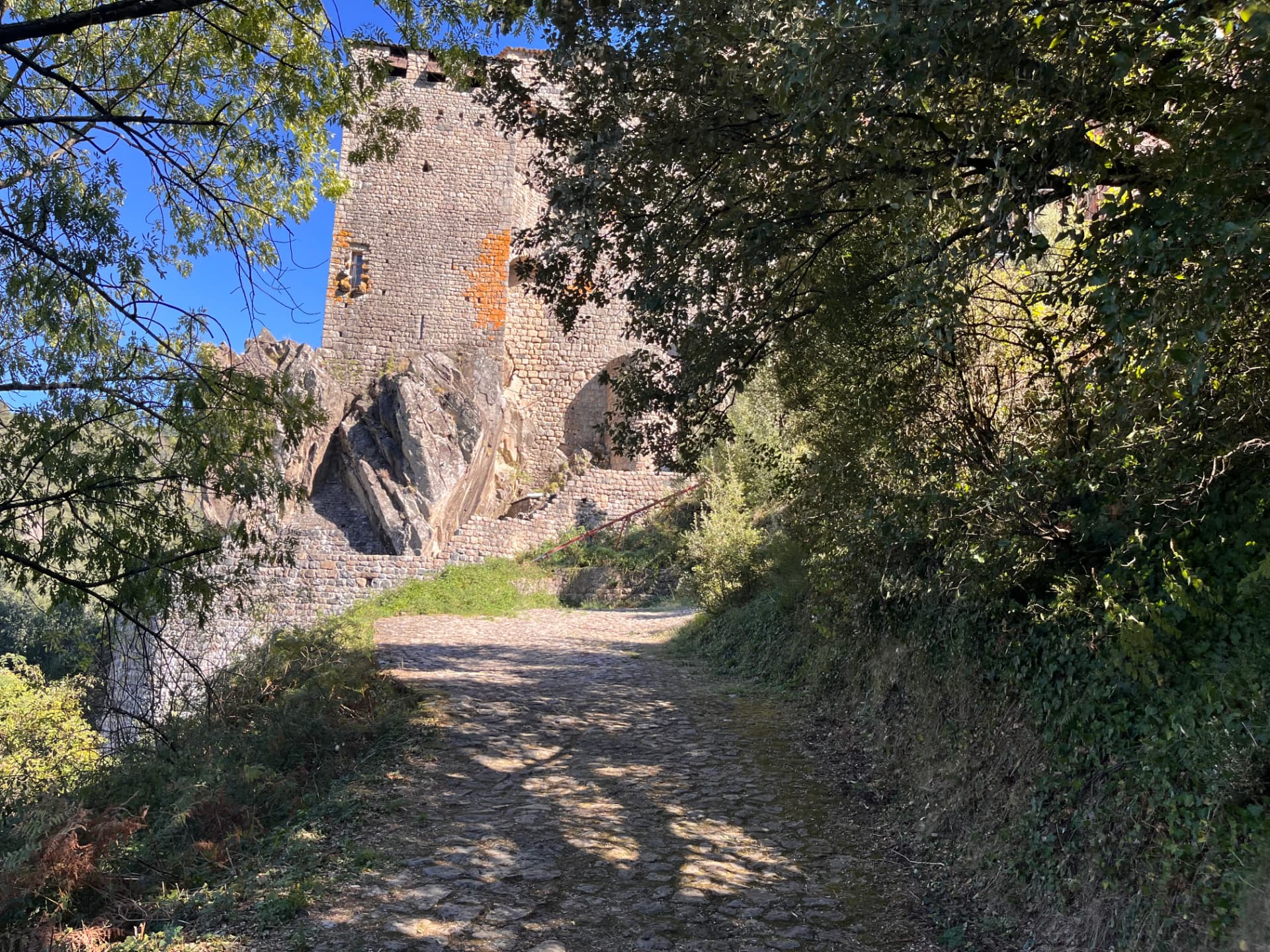 Chemin d'accès pavé au château de Ventadour, bordé d'arbres, avec la tour au fond