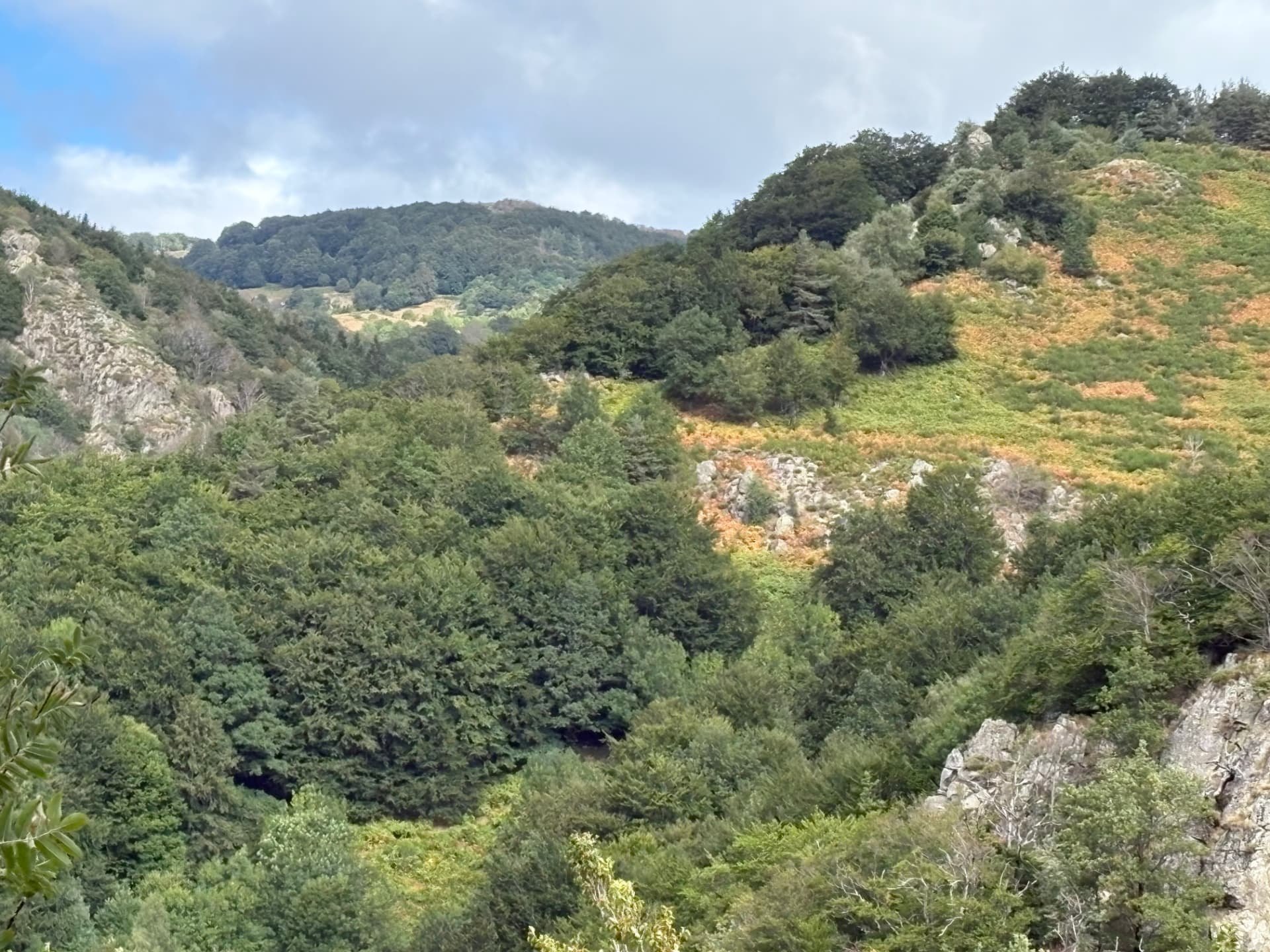 Paysage volcanique et forestier autour de la cascade du Ray-Pic
