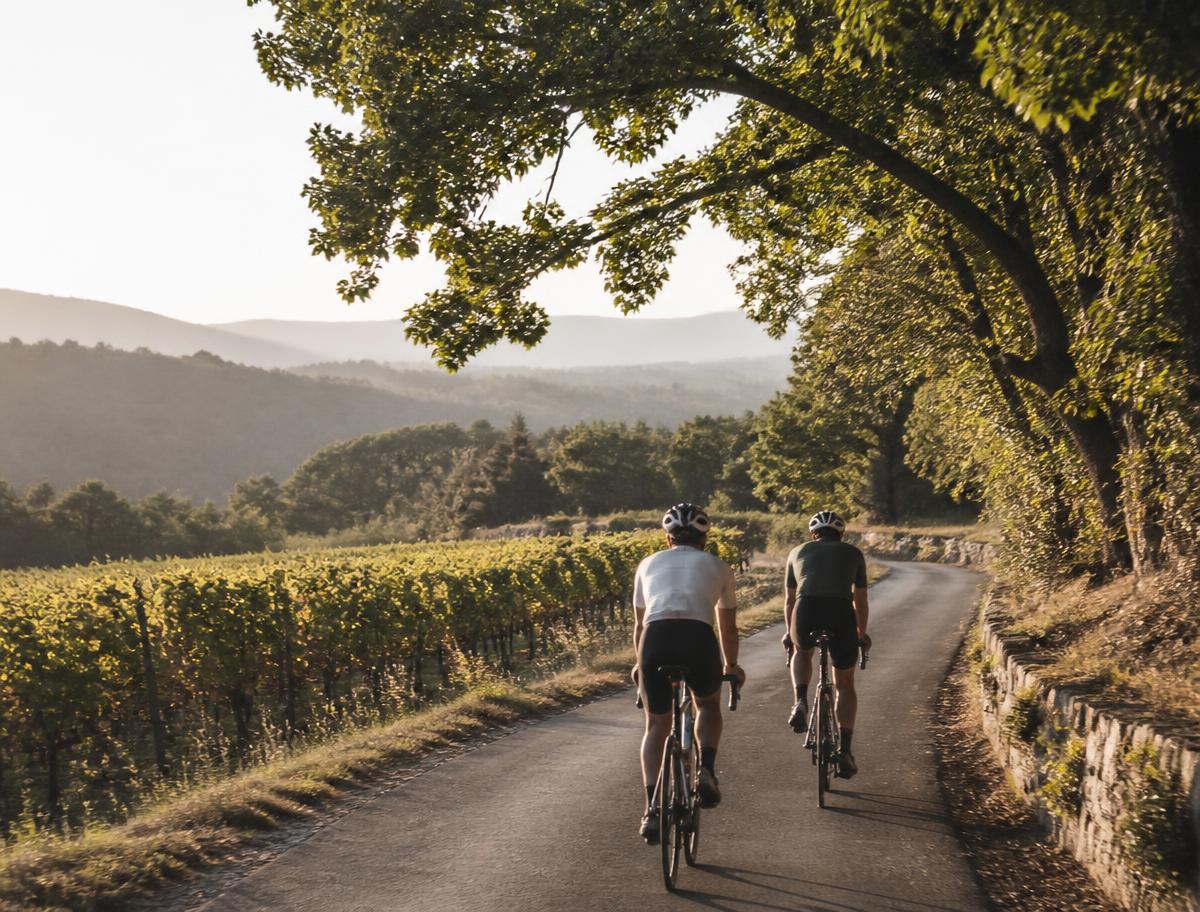 Illustration d'ambiance : petite route entre vignes et châtaigniers